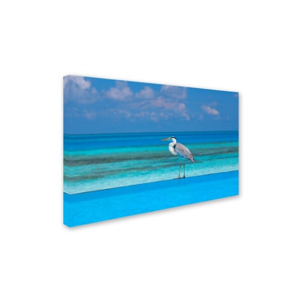 Robert Harding Picture Library 'Beachy 103' Canvas Art,12x19